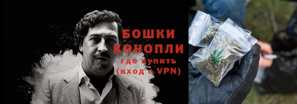 сатива Нягань