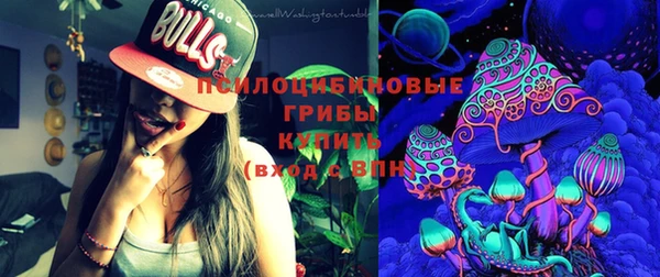 винт Няндома