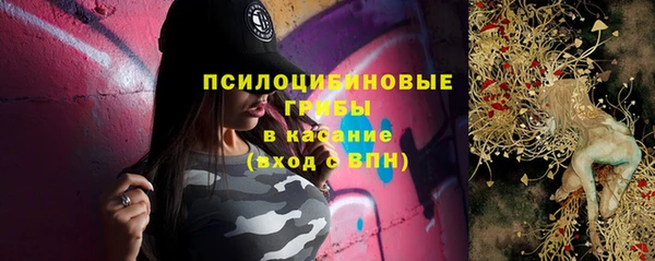 молекула духа Алексеевка
