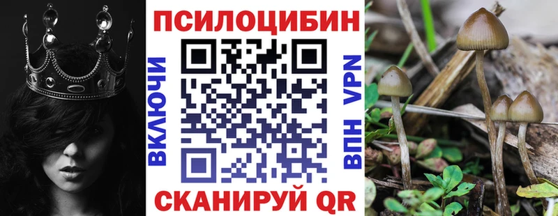 даркнет официальный сайт  Нижний Новгород  Псилоцибиновые грибы Cubensis 