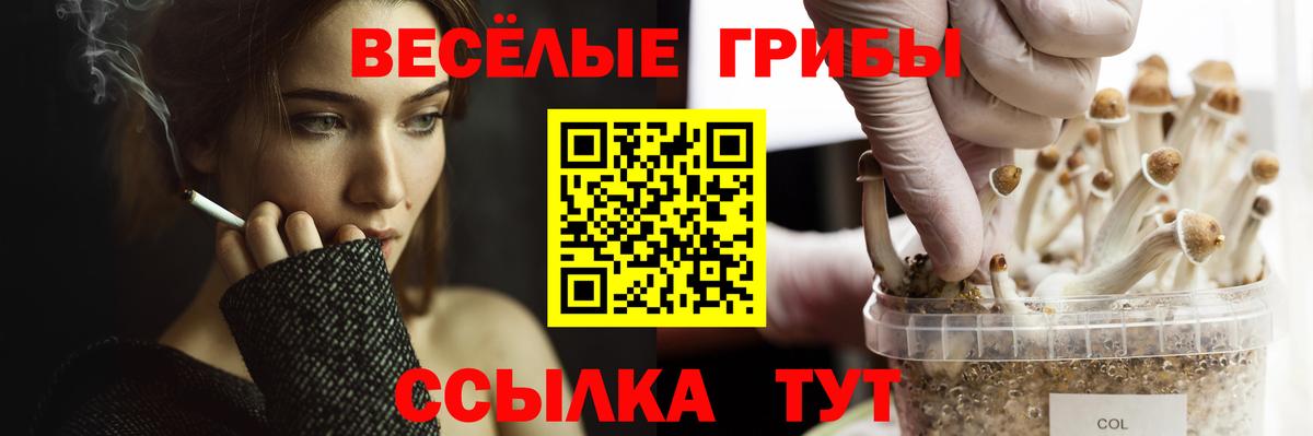 Псилоцибиновые грибы GOLDEN TEACHER  Псилоцибиновые грибы Magic Shrooms  Нижний Новгород 